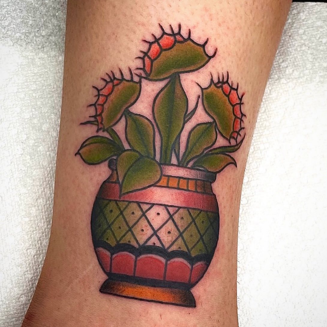 Venus flytrap American traditional tattoo on the forearm by Danielle Dubois