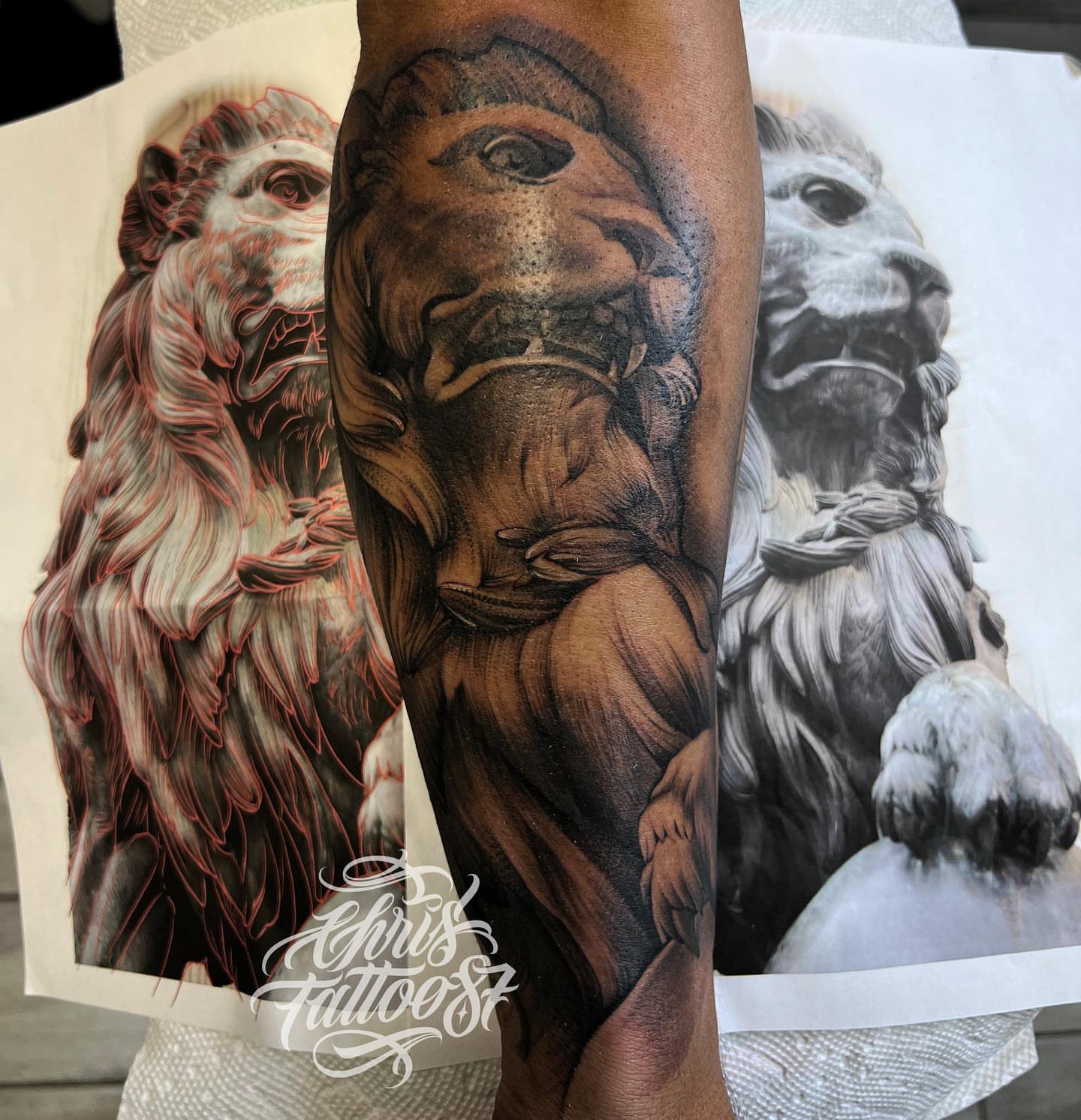 Lion realism tattoo on the forearm by chris tattoo