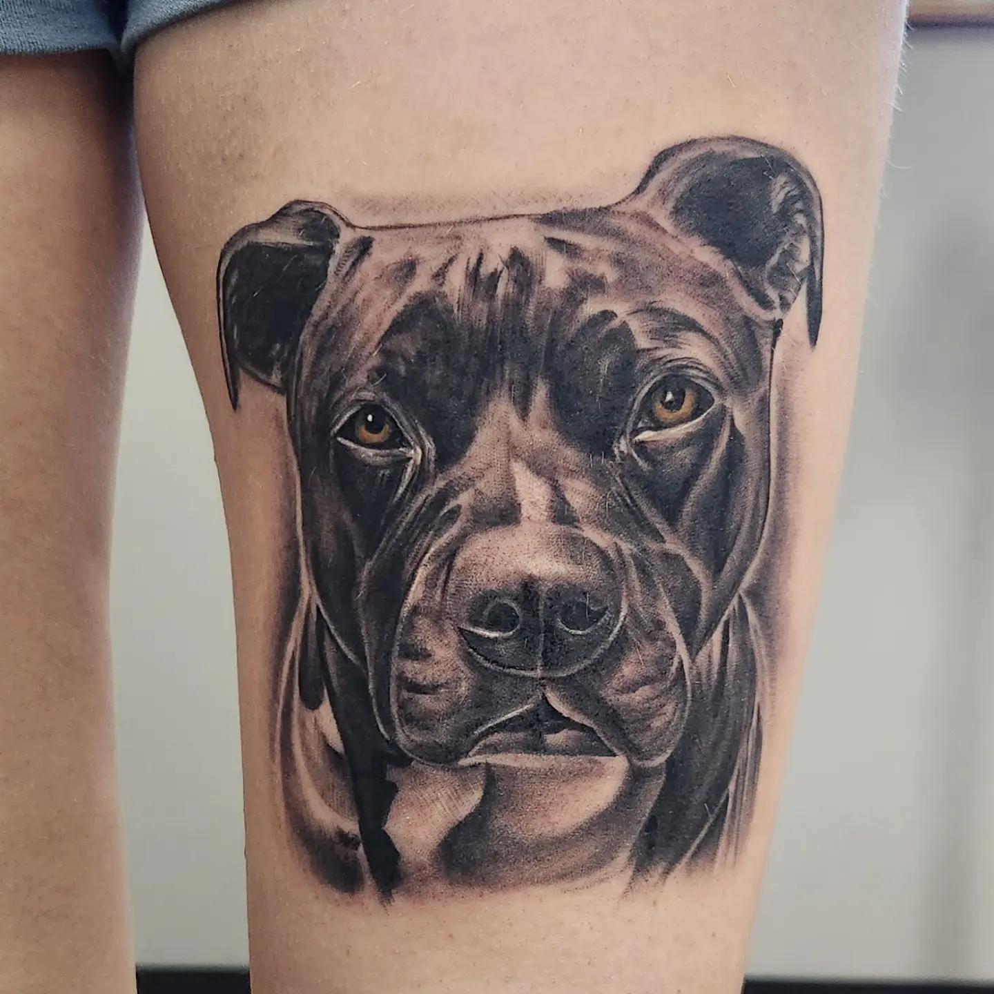 Pit bull realism tattoo on the thigh by Elidia Veliz