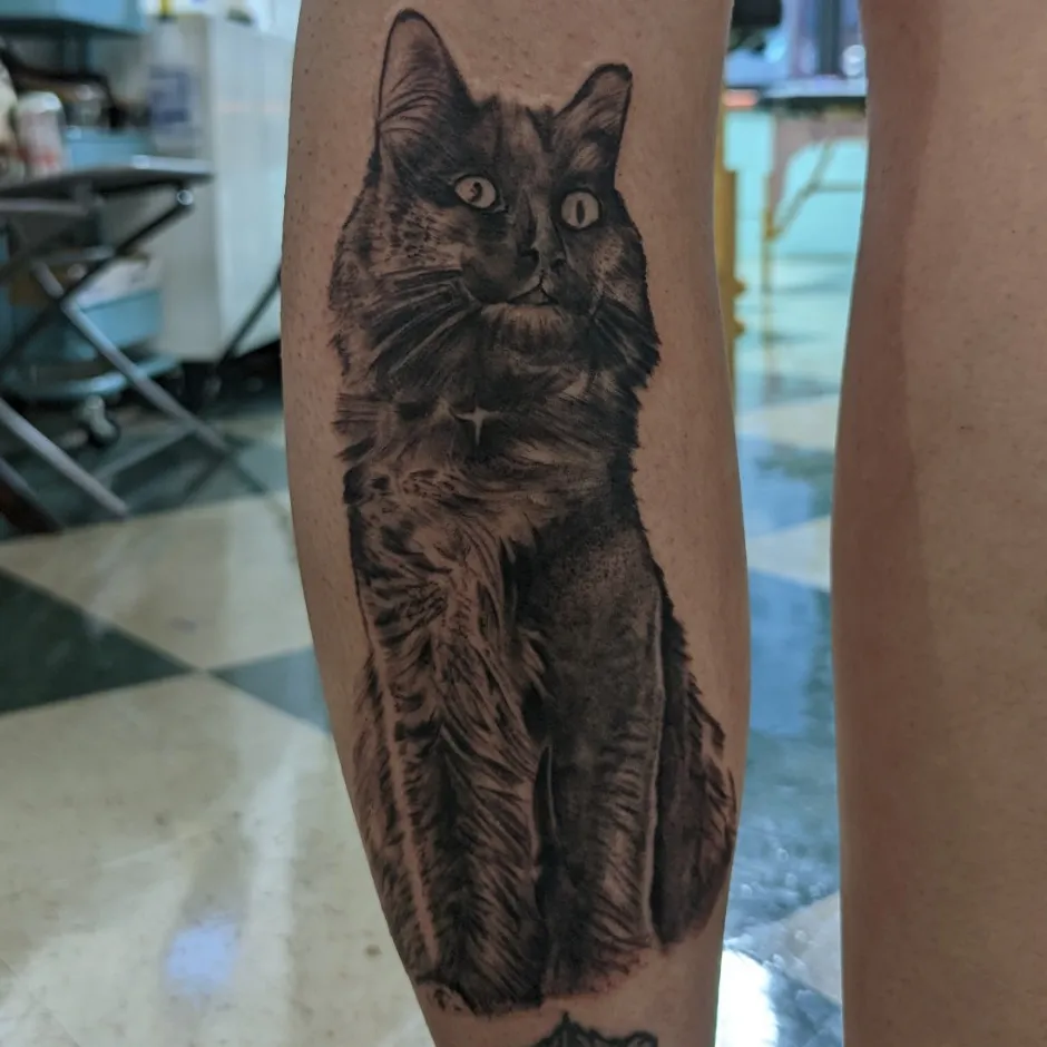 Cat realism tattoo on the forearm by David Nash, Evansville, Indiana