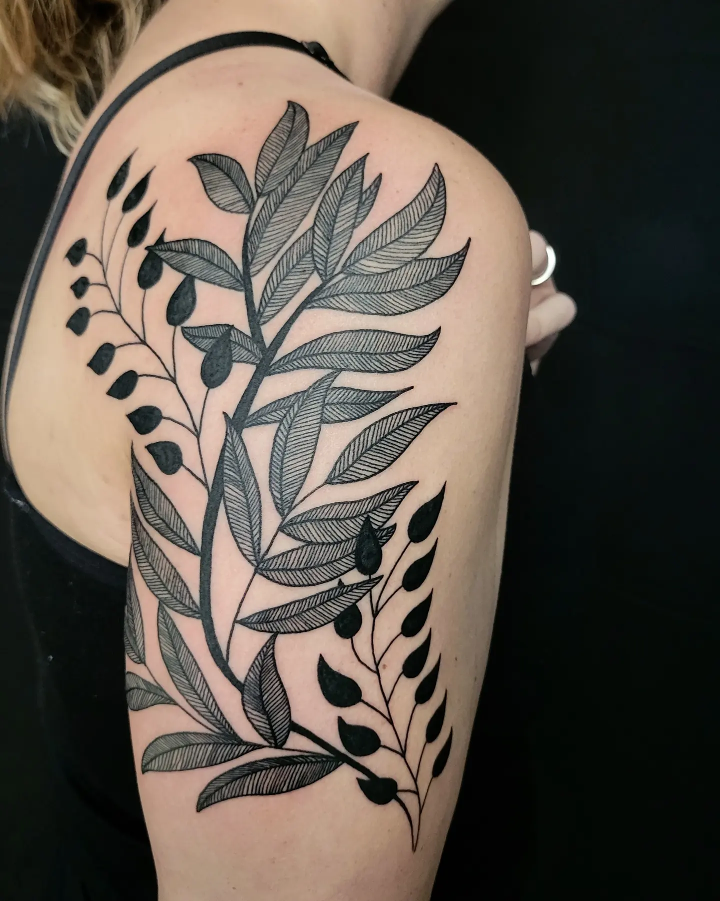 Leafy branch black and grey tattoo on the shoulder by Nicole Bett