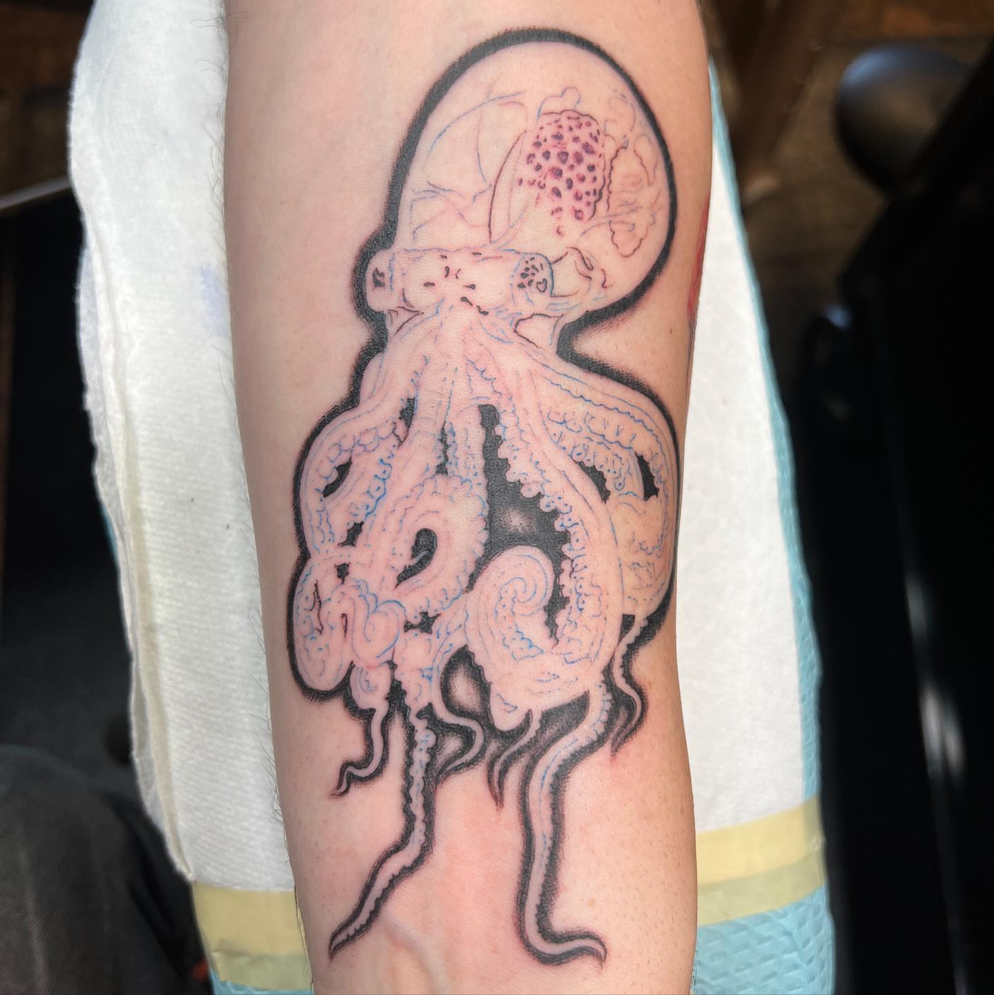 Octopus American traditional tattoo on the forearm by James Kern * Visionary Tattoo Artist *