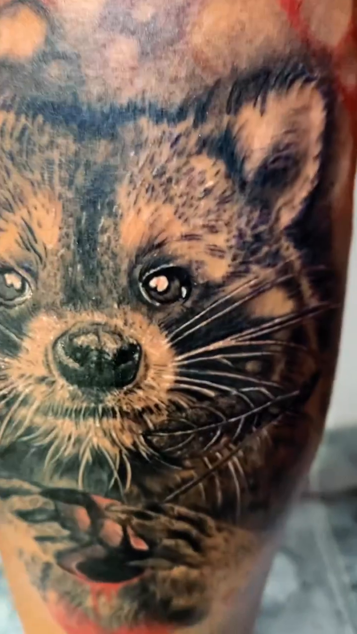 Raccoon portrait realism tattoo by 𝔄𝔩𝔳𝔞𝔯𝔬 𝔓𝔦𝔫𝔦𝔩𝔩𝔞