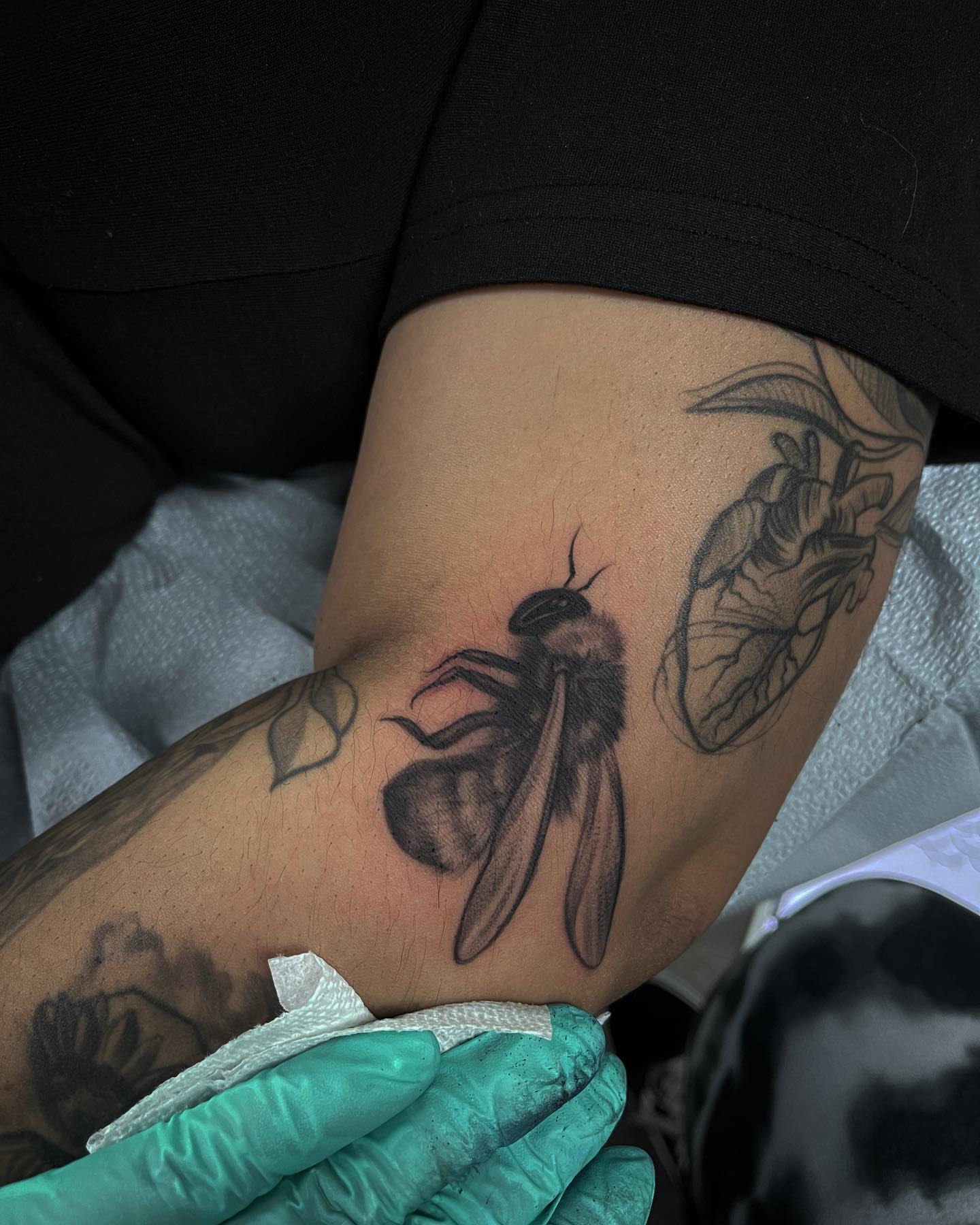 Bee realism tattoo on the thigh by Carla V