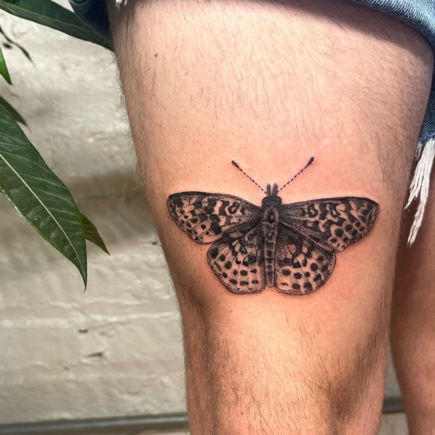 Tattoo by @artbyalyssacarbonara β realism