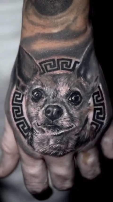 Dog portrait with greek key border realism tattoo by Guillermo Columbie, Houston, Texas