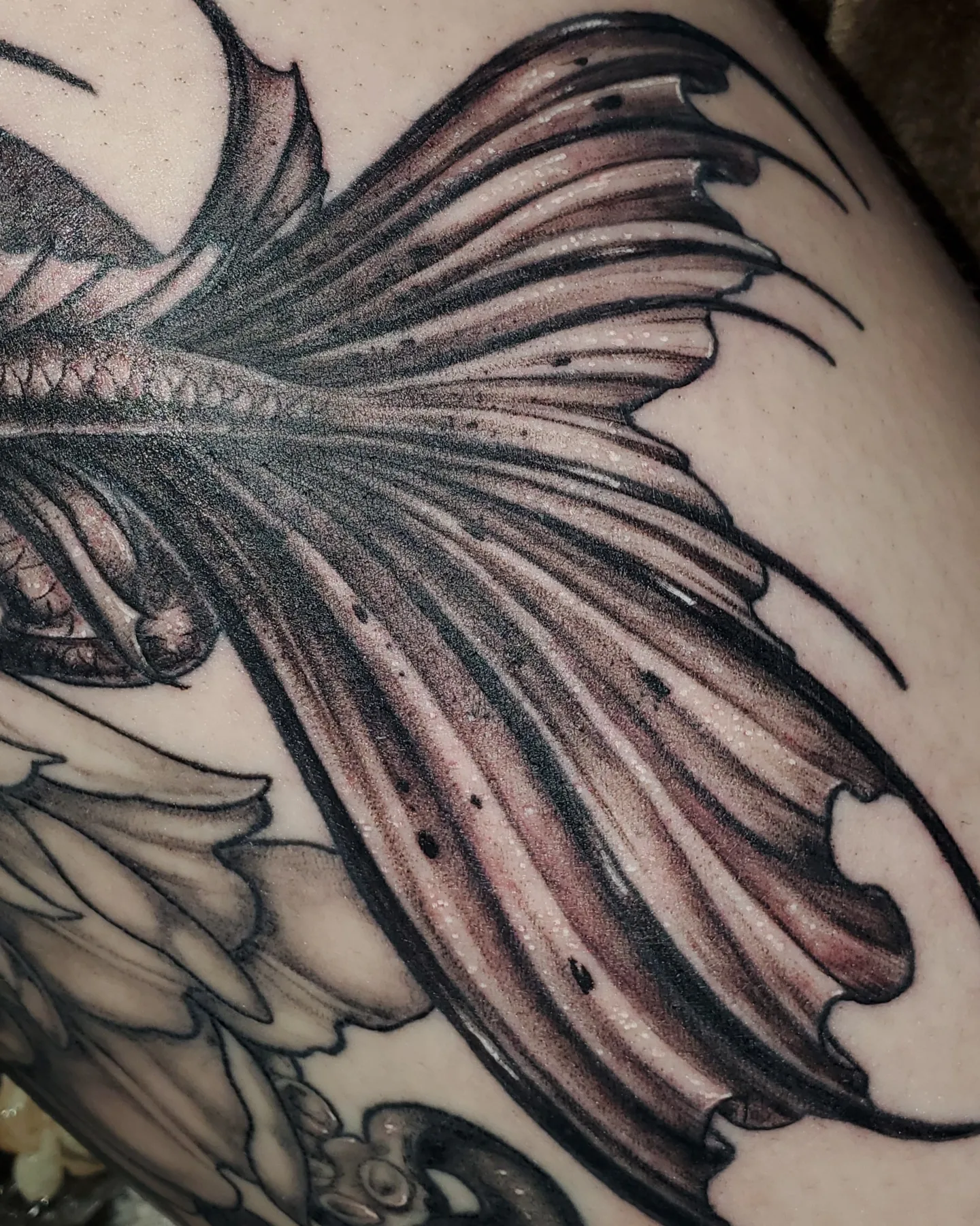 Tattoo by @erinrietzetattoo — black_and_grey