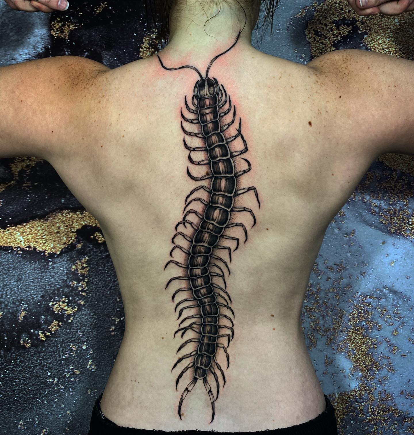 Centipede realism tattoo on the back by Cindy Xu