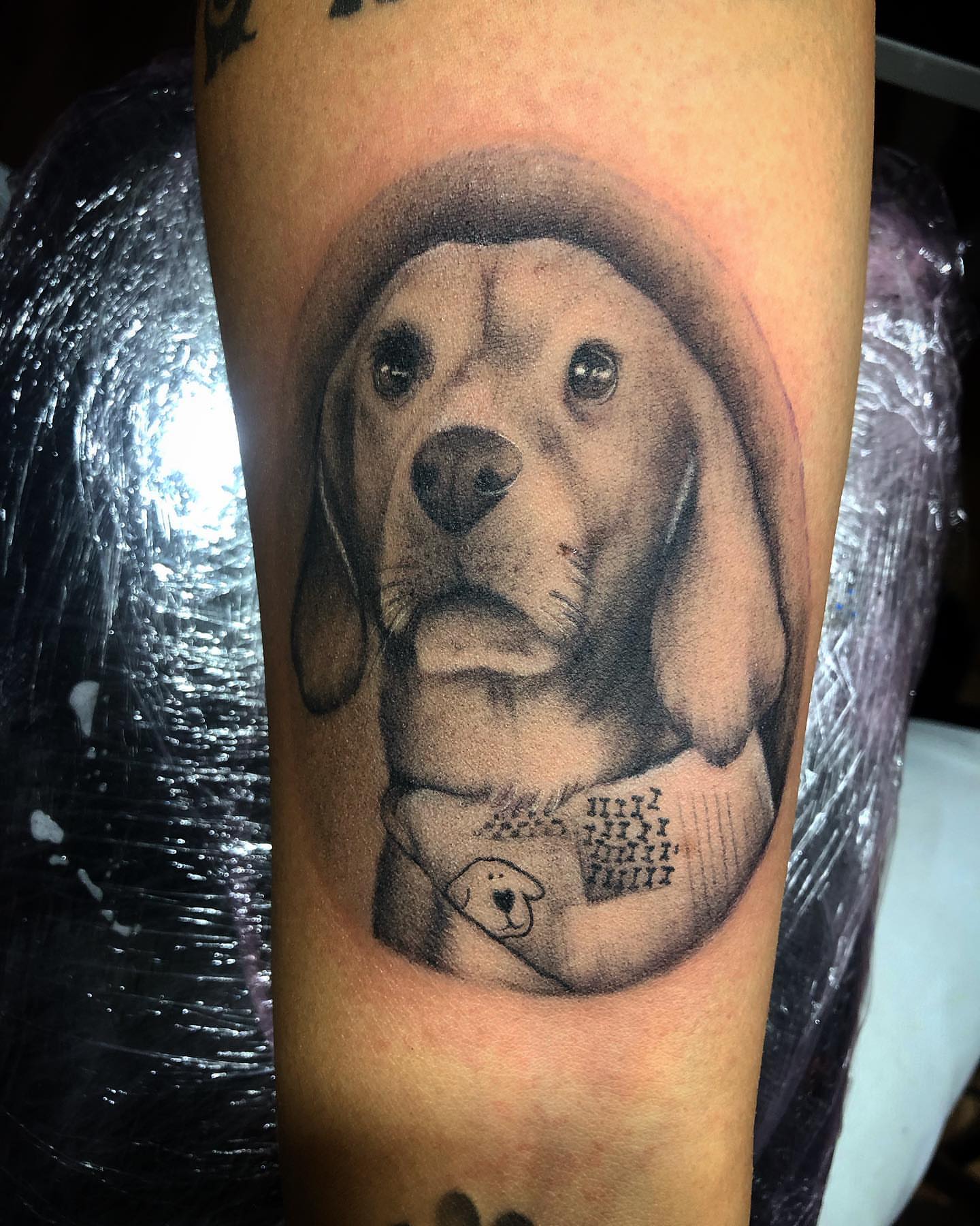 Dog wearing sweater realism tattoo on the forearm by Luis Chauta