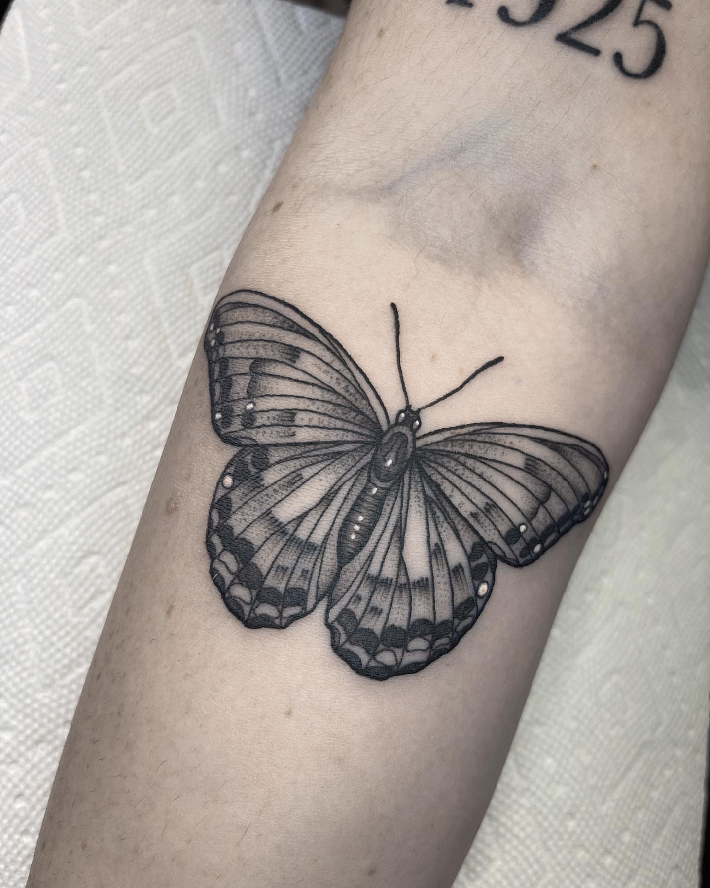 Butterfly dotwork tattoo on the forearm by 𝐀𝐘𝐀𝐍𝐀𝐇