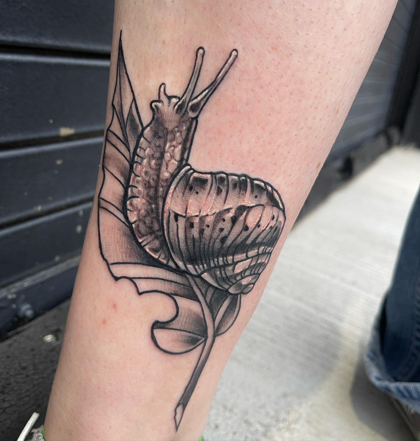 Snail realism tattoo on the forearm by Sarah Bobby, Houston, Texas