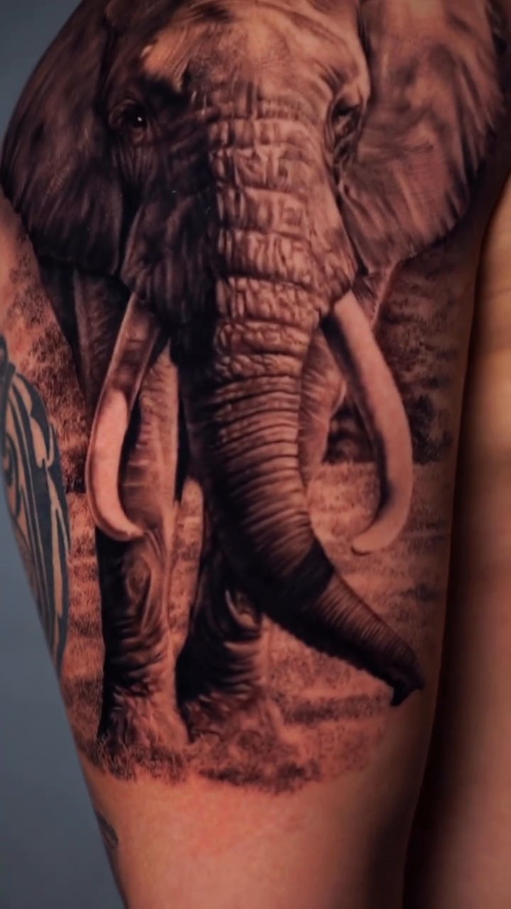 Elephant realism tattoo by Giona Starace