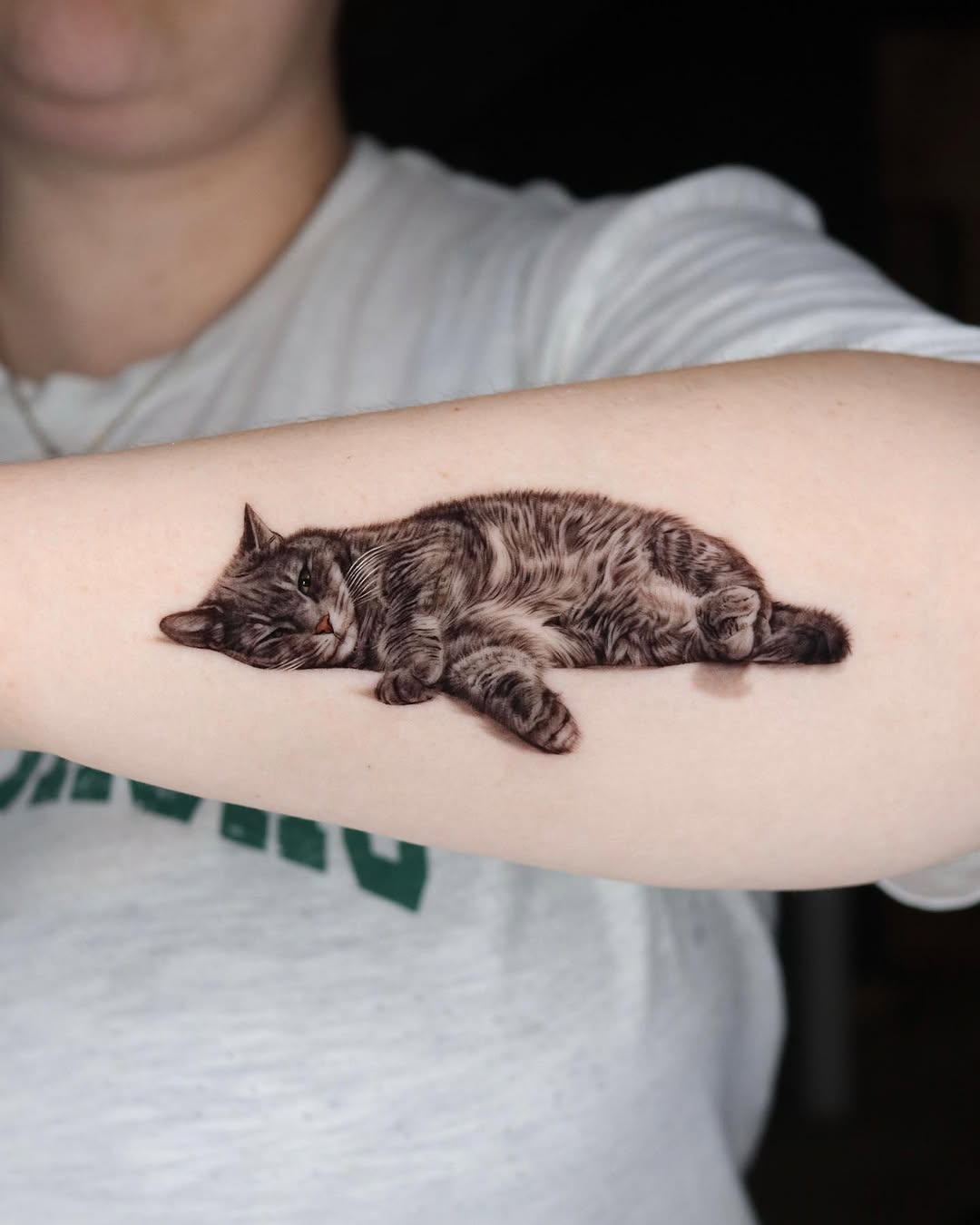 Sleeping tabby cat realism tattoo on the forearm by LA Tattoo Yeono