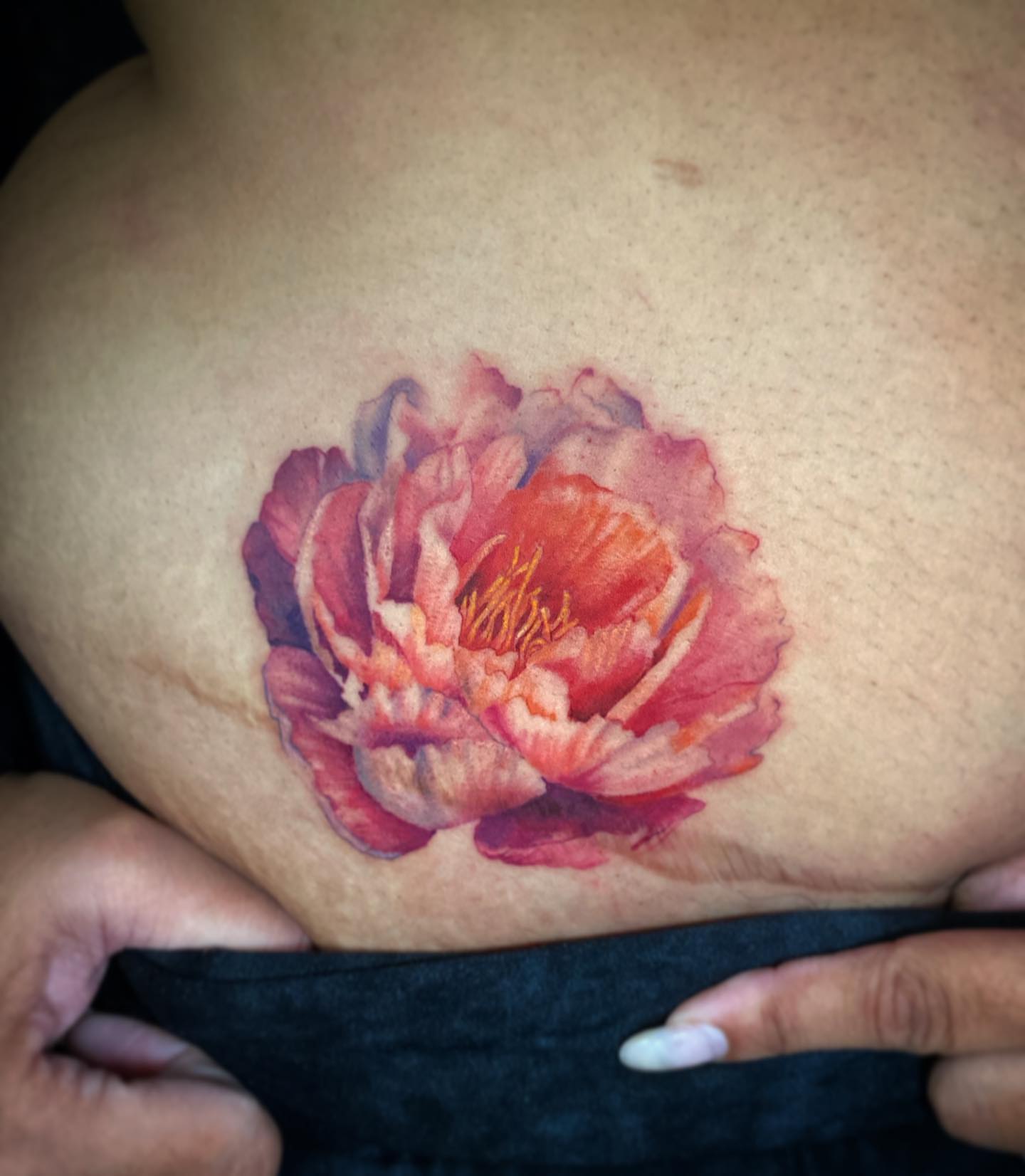 Peony watercolor tattoo on the chest by D Benzo ~ San Diego Tattoo artist ~