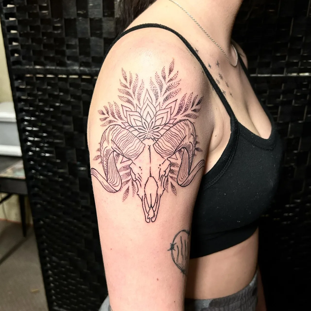 Ram skull dotwork tattoo on the shoulder by Dylan Stevens