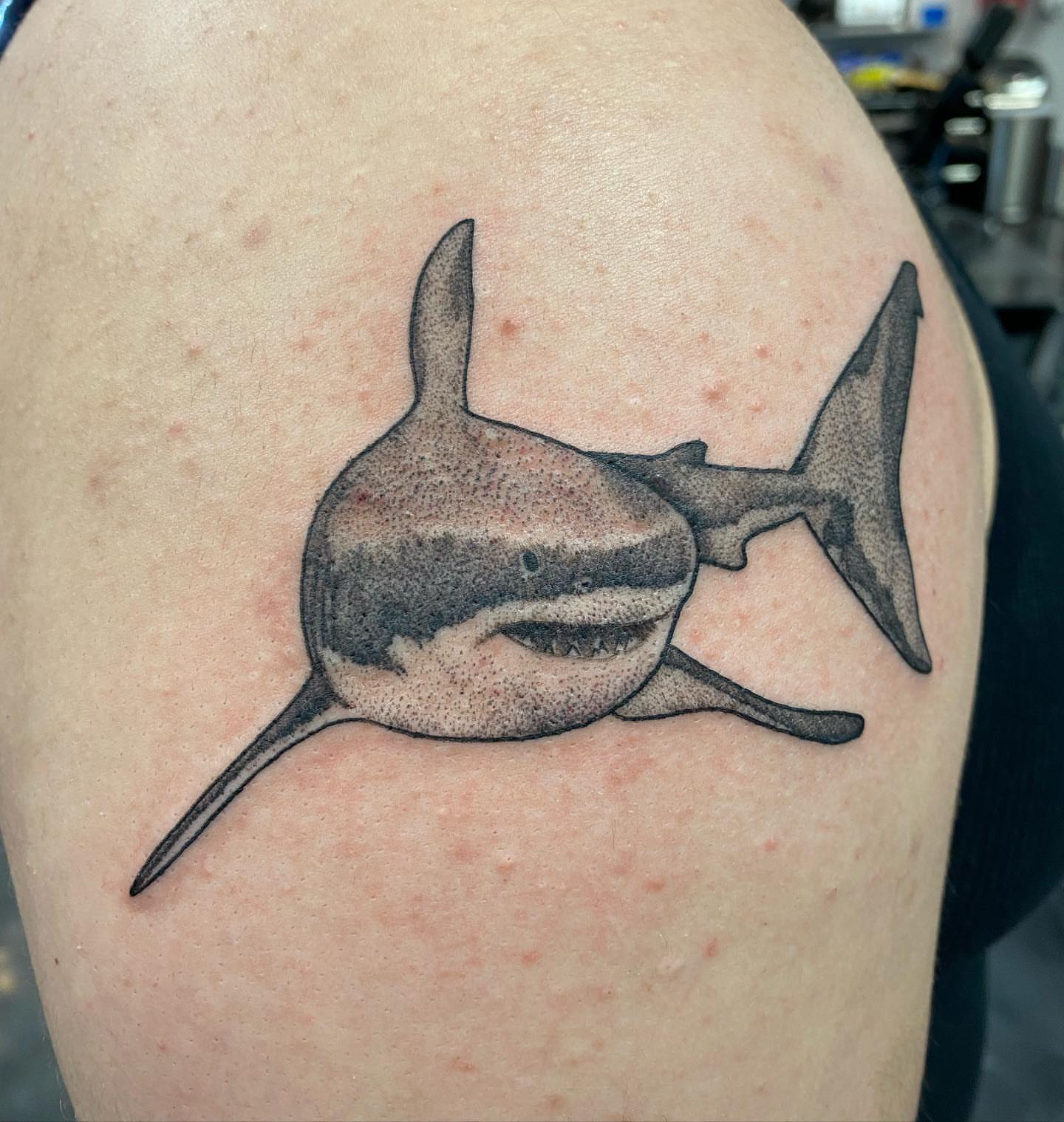 Shark dotwork tattoo on the shoulder by SAL, Mesa, Arizona
