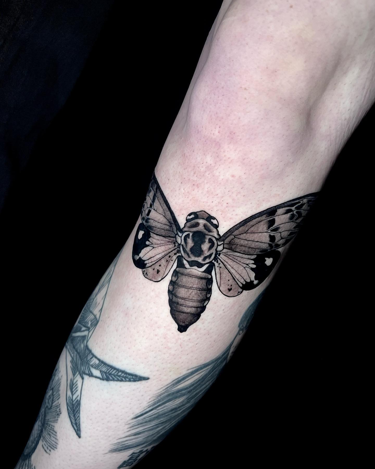 Moth black and grey tattoo on the forearm by Amber