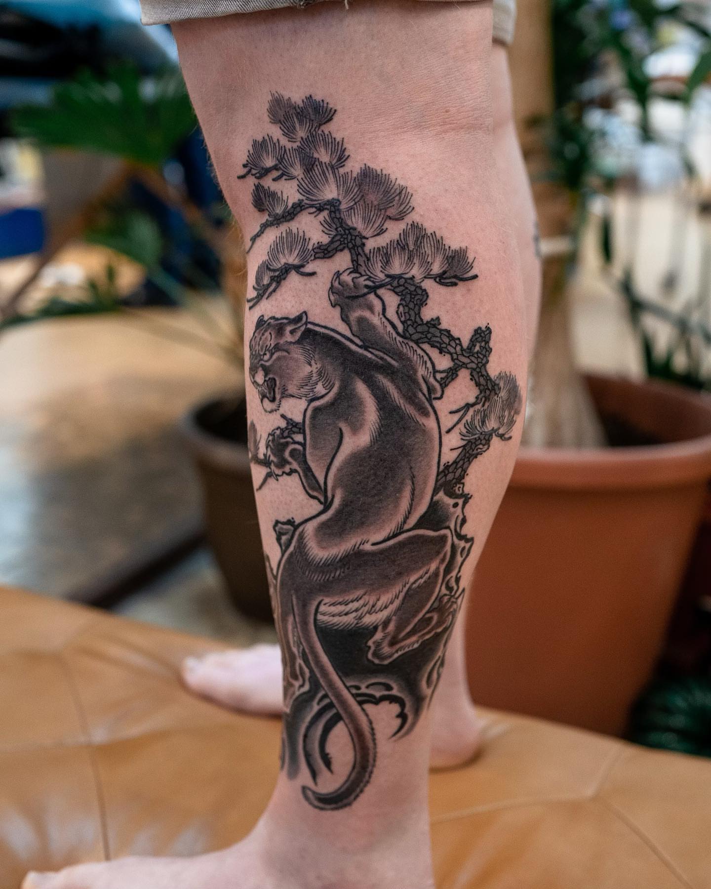 Panther and pine tree realism tattoo on the calf by Matt Leibo, San Francisco, California