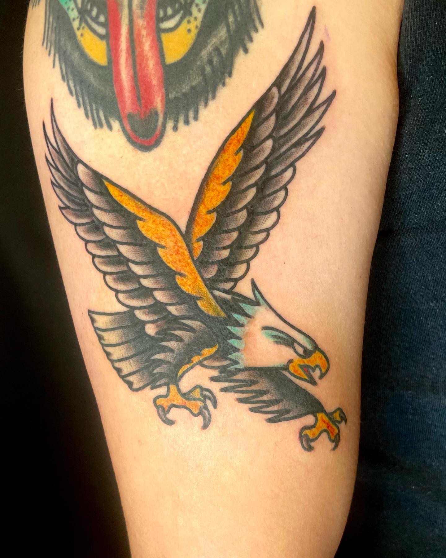 Eagle American traditional tattoo on the forearm by Seth Griffin