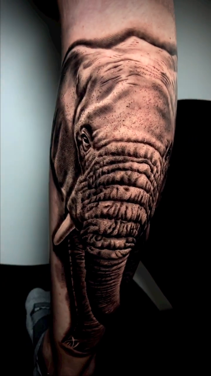 Elephant head realism tattoo by Kelsea Lake Schack