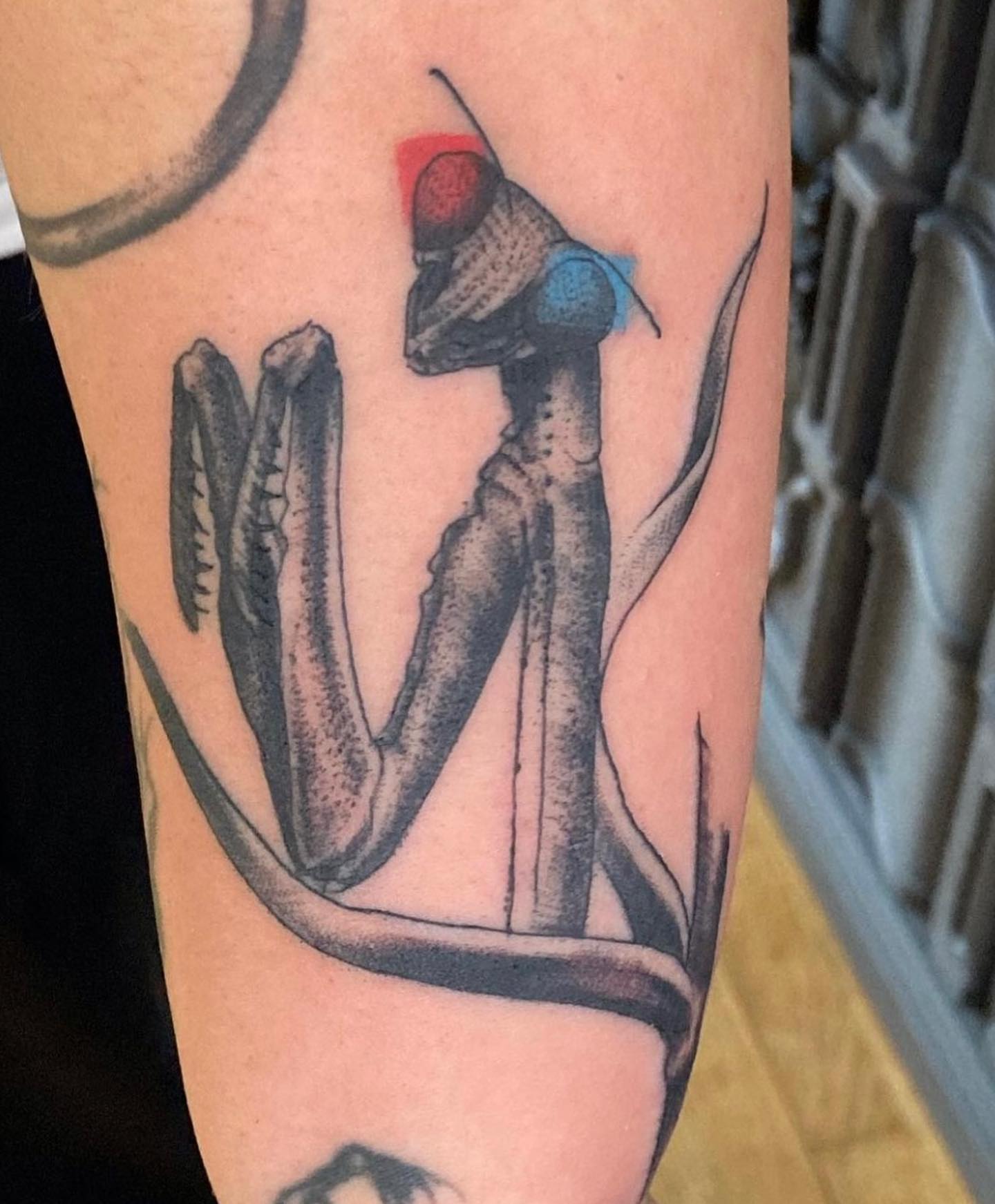Praying mantis dotwork tattoo on the forearm by Shamanic Ink