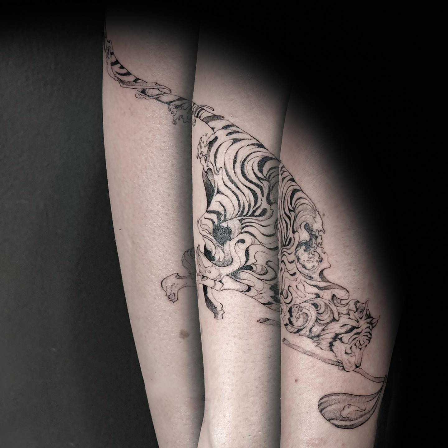 Tiger and dragon dotwork tattoo on the forearm by Shihao zhao
