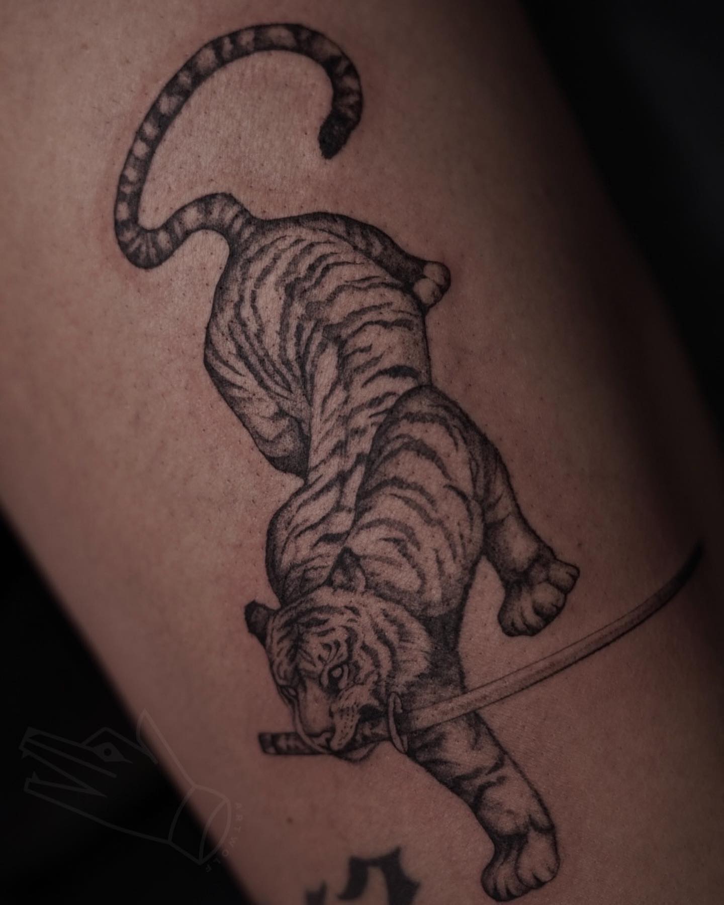 Tiger black and grey tattoo on the thigh by ✧ Maria ✧