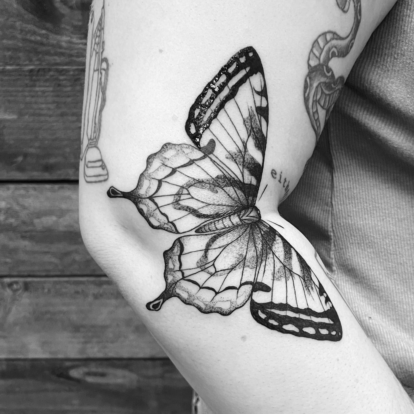 Butterfly dotwork tattoo on the forearm by โพ ๐
๐ฏ๐ฆ ๐๐ฌ๐ด๐ข๐ฏ๐ฐ โพ
