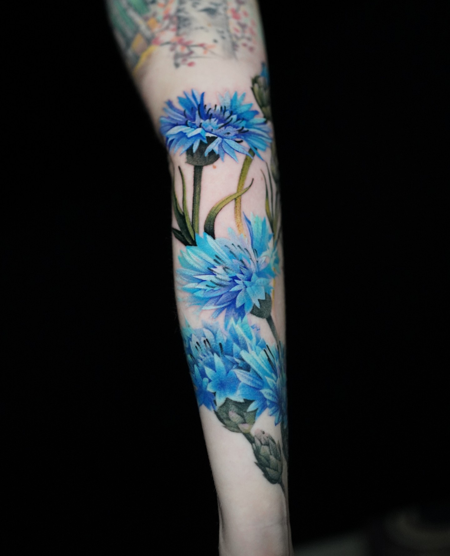 Tattoo by @dannymadsentattoo — watercolor