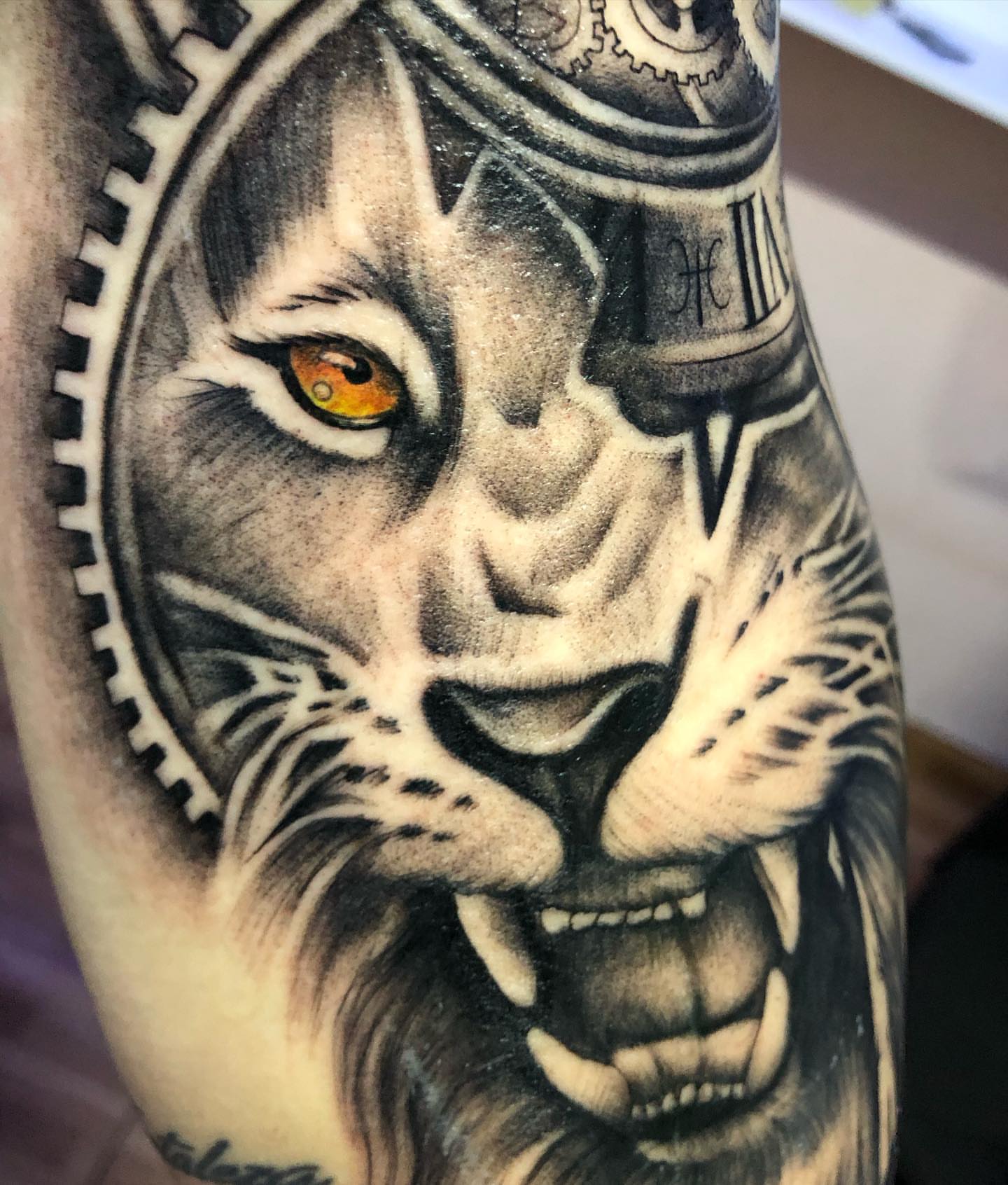 Lion realism tattoo on the forearm by Luis Chauta