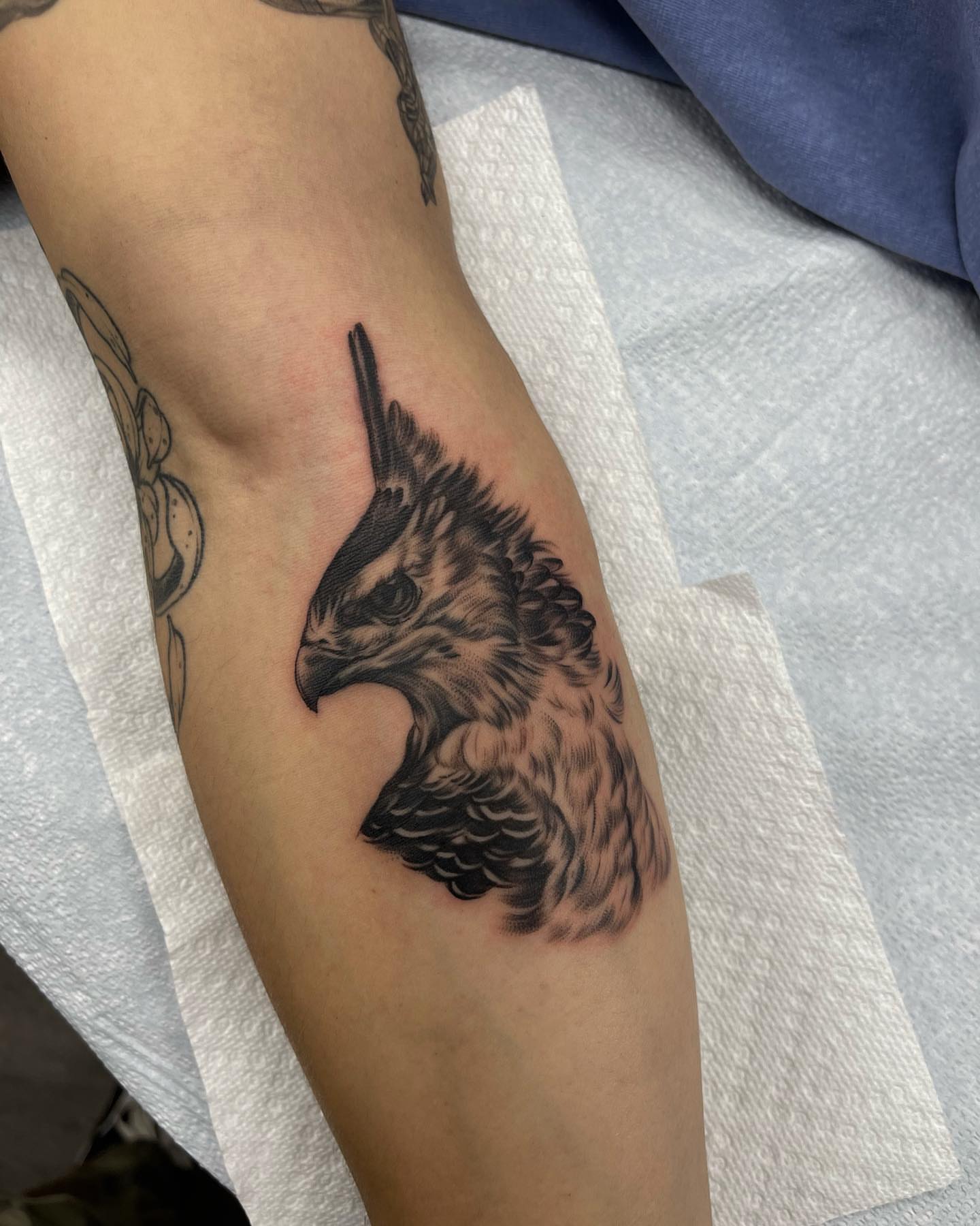 Hawk realism tattoo on the forearm by Carla V