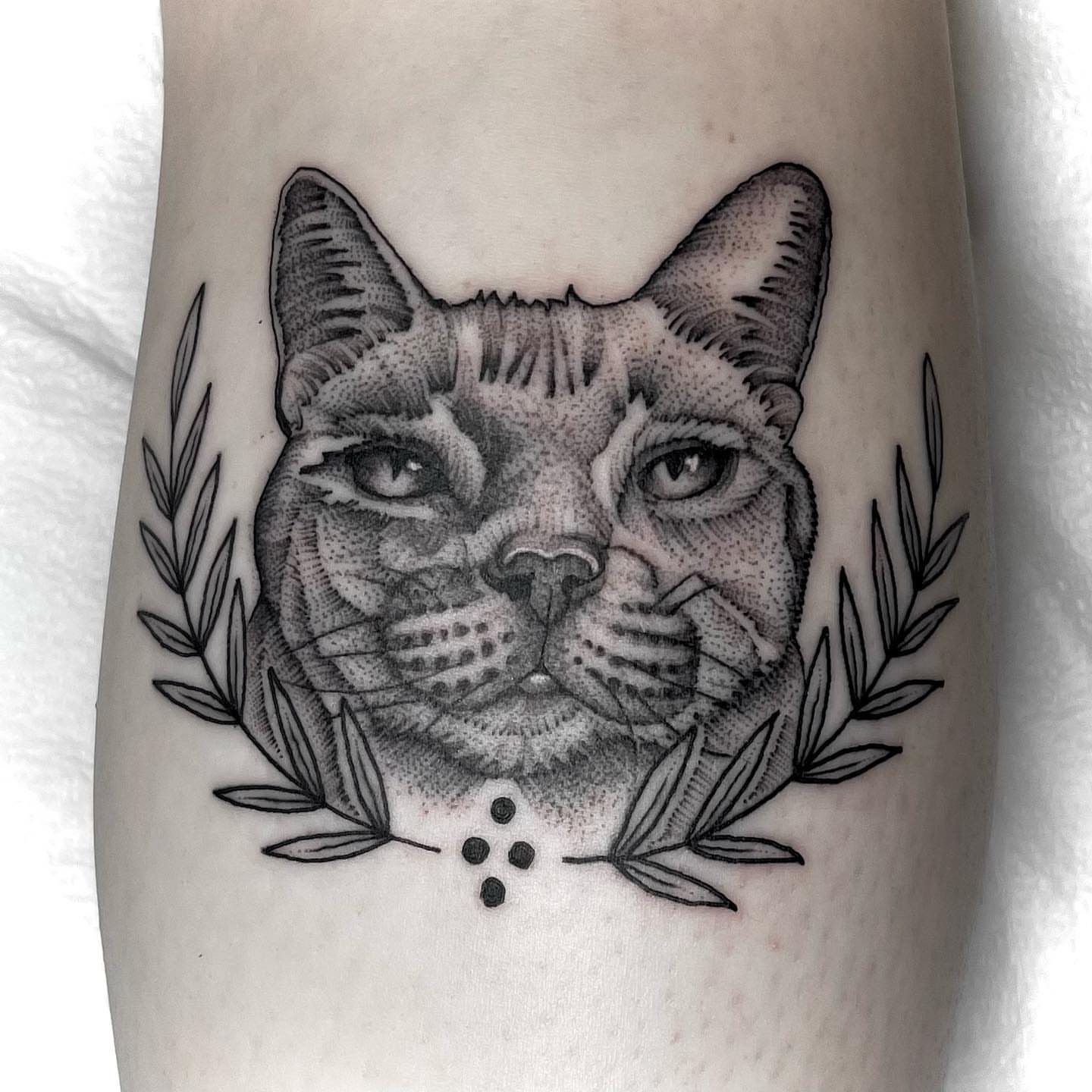Cat dotwork tattoo on the forearm by Jason Ryan