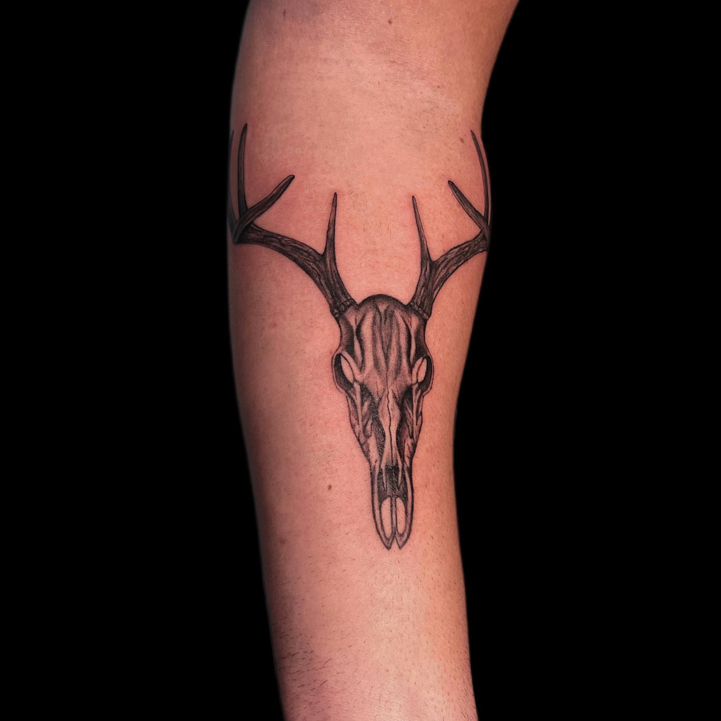 Deer skull black and grey tattoo on the forearm by πΊπππππ βΎ π»πππππ π¨πππππ