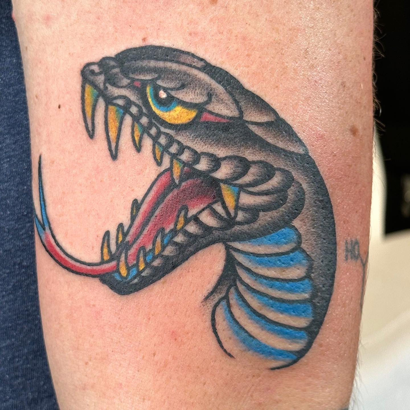 Snake American traditional tattoo on the forearm by Bryan Humphries