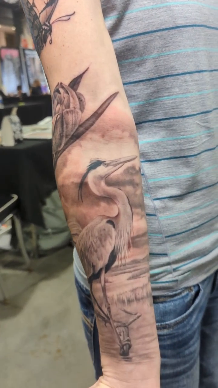 Butterfly and heron with flowers realism tattoo by Sean Costello