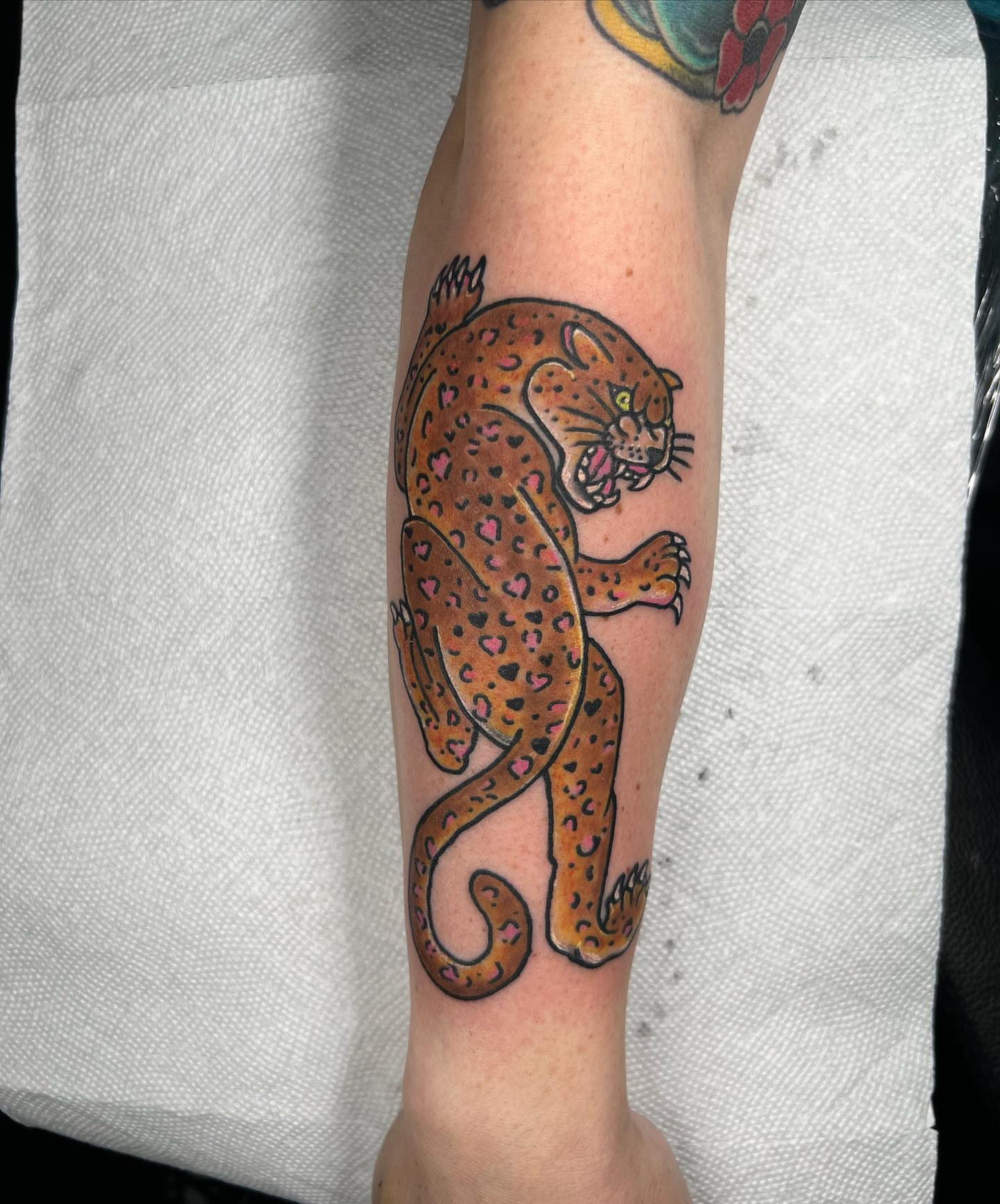 Leopard American traditional tattoo on the forearm by Seth Scott
