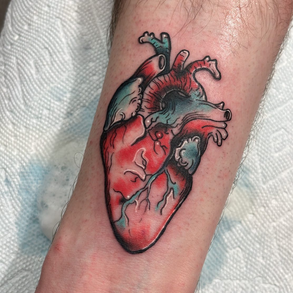 Anatomical heart realism tattoo on the forearm by Edward A. Boesch