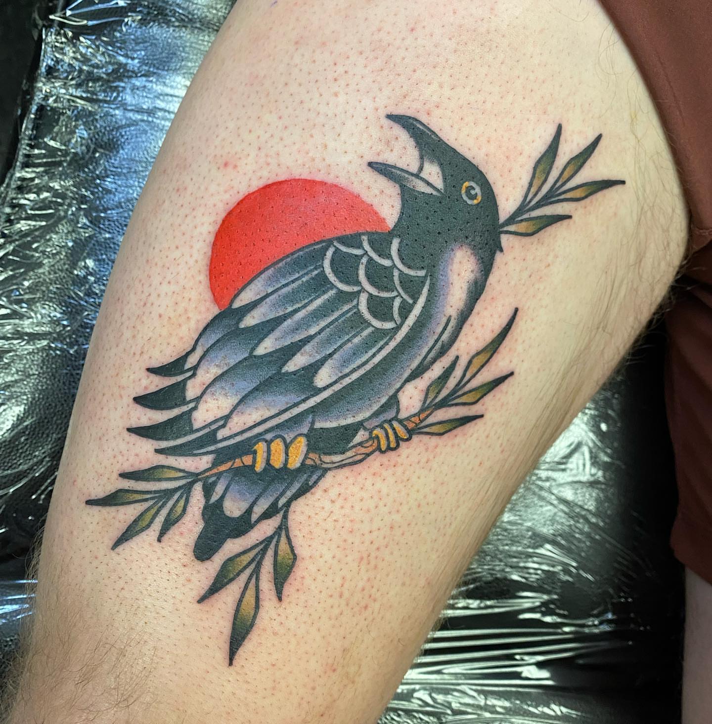 Crow American traditional tattoo on the thigh by S C O T T