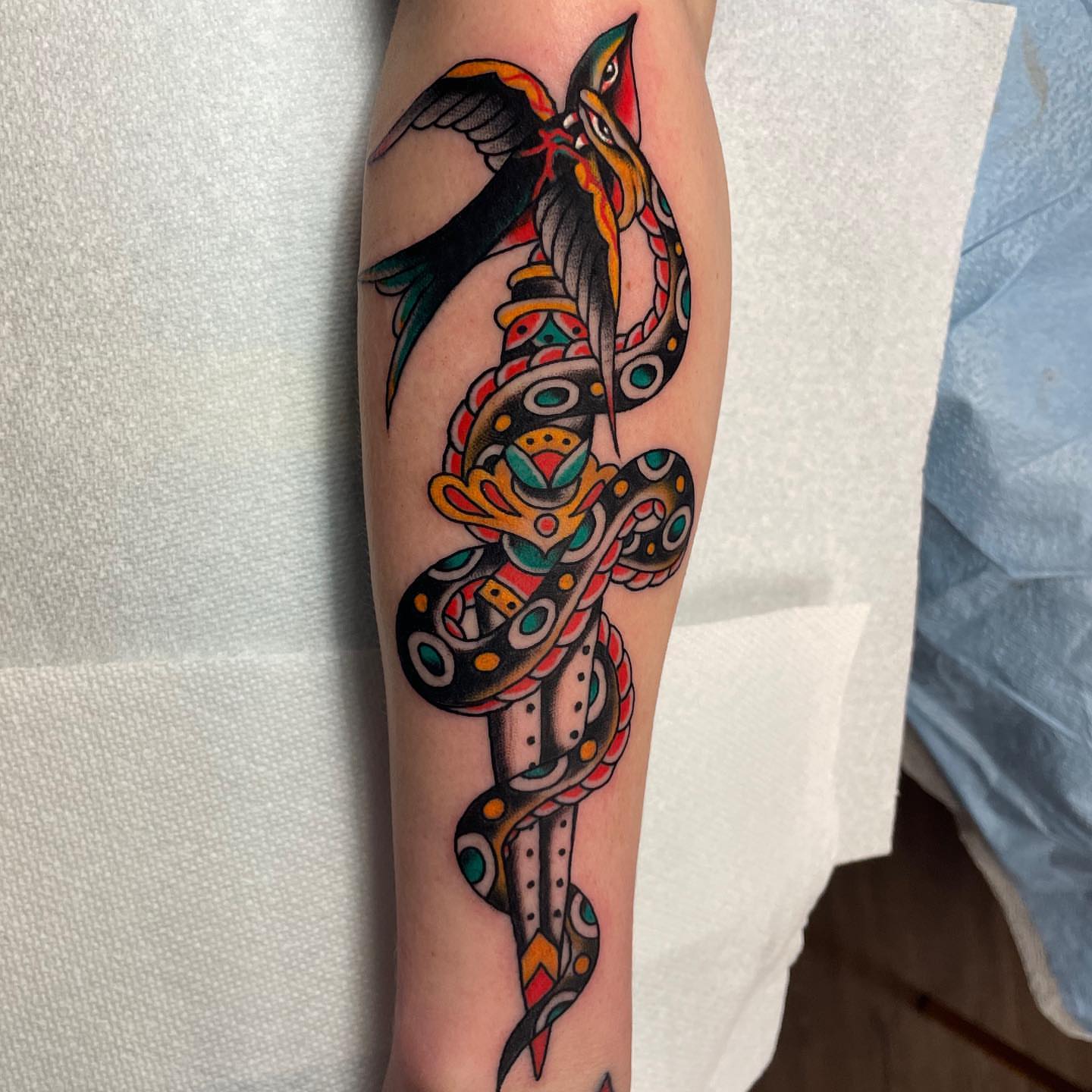 Snake and bird American traditional tattoo on the forearm by derrick b. π² Modern Traditional Tattoo