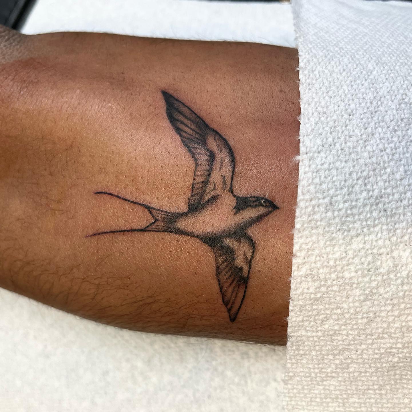 Tattoo by @blastrotattoo — realism