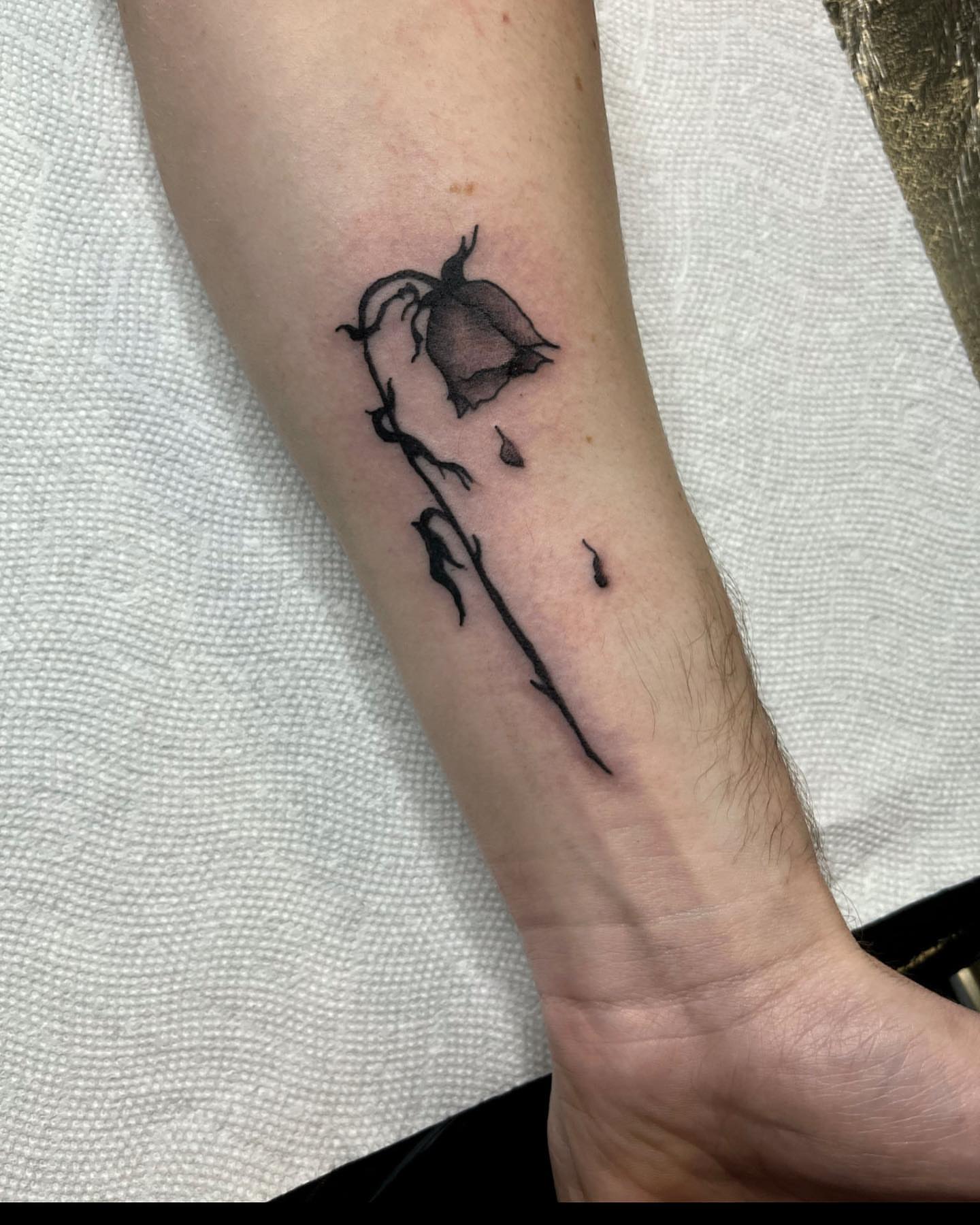 Tattoo by @joshgarte_ — black_and_grey