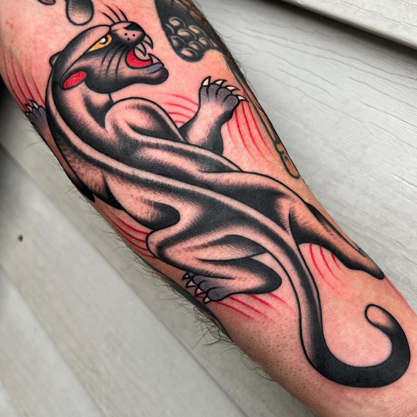 Panther American traditional tattoo on the forearm by Daniel Mesen