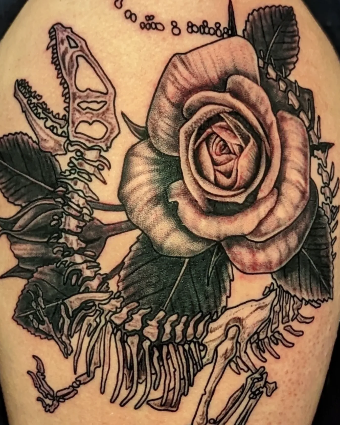 Rose and dinosaur skeleton realism tattoo on the shoulder by Jay Trip