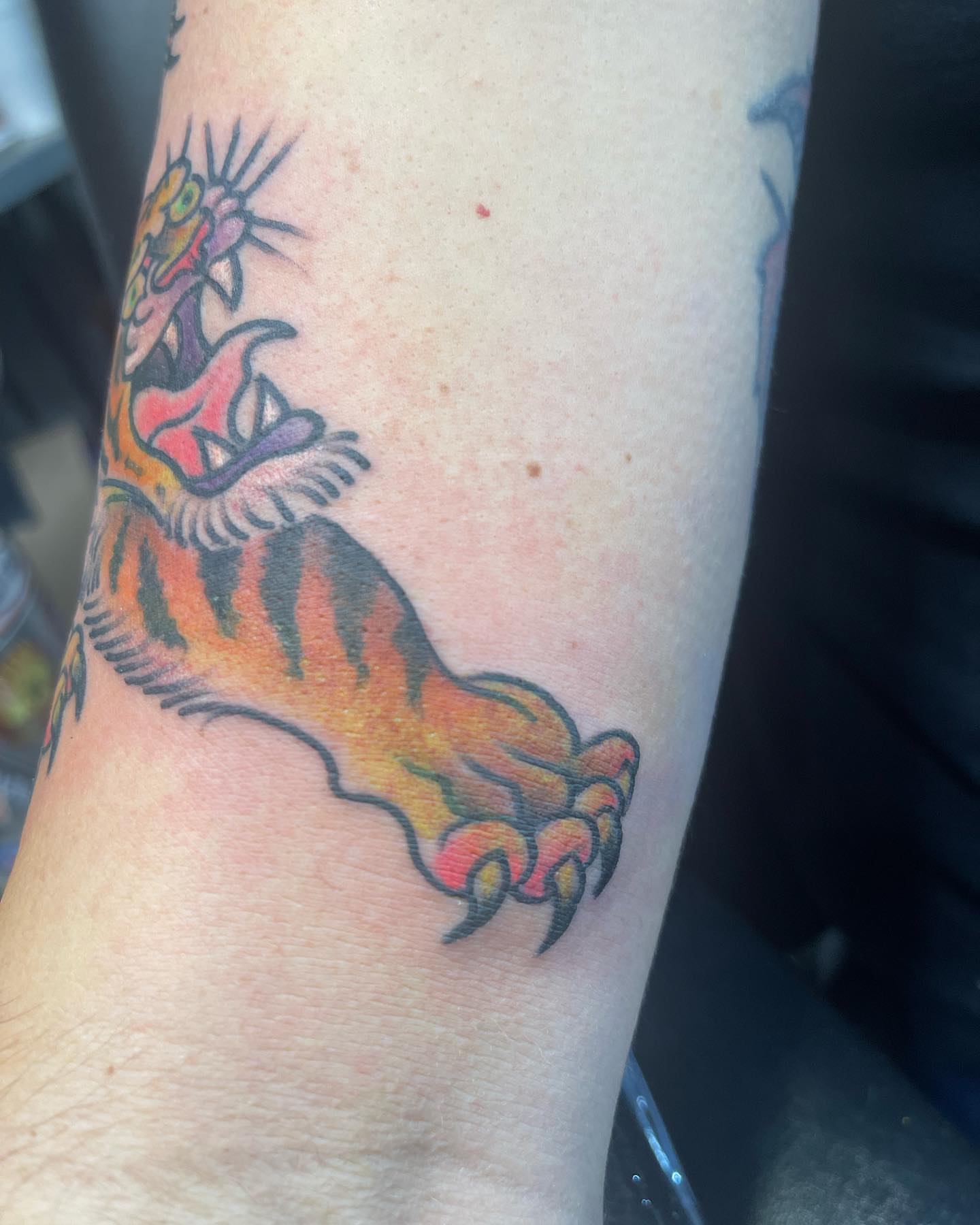 Tiger paw American traditional tattoo on the forearm by Edward Choat