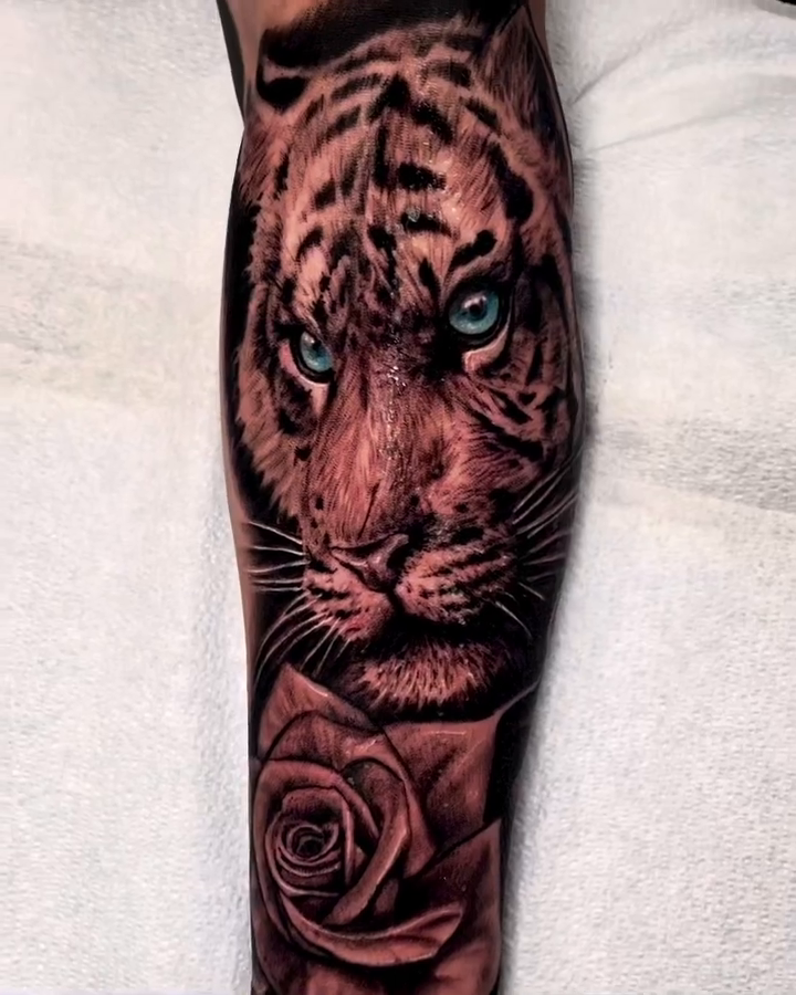 Tiger and roses realism tattoo by Greg West Sac tattoo artist, West Sacramento, California