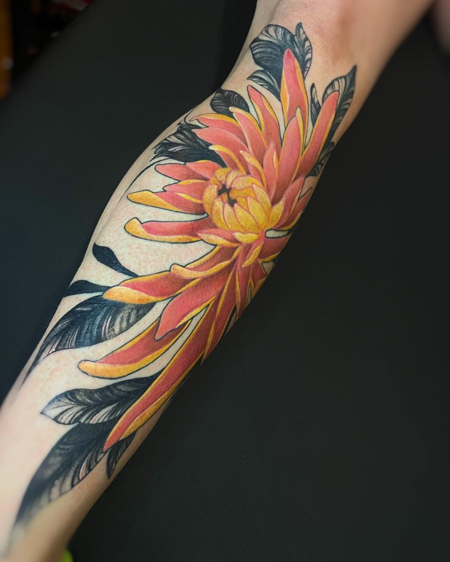 Chrysanthemum American traditional tattoo on the forearm by 𝒕𝒂𝒕𝒕𝒐𝒐𝒔 𝒃𝒚 𝔏𝔞𝔲𝔯𝔢𝔫 𝔐𝔬𝔫𝔣𝔬𝔯𝔱𝔢