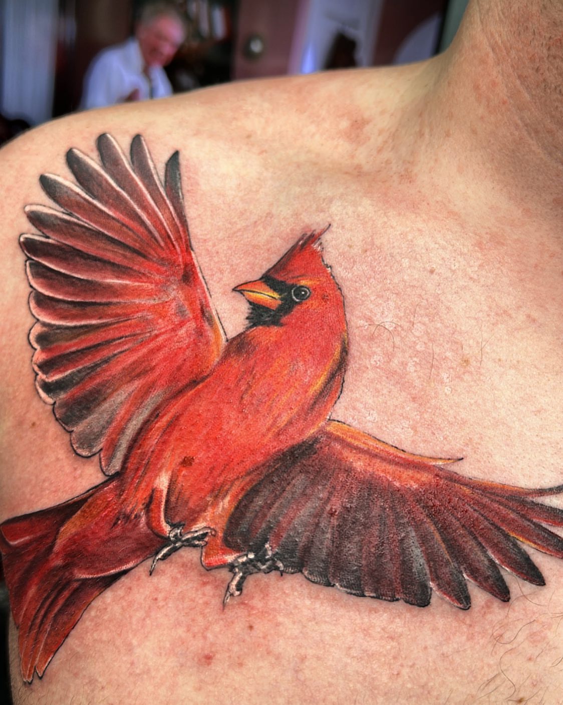 Cardinal bird realism tattoo on the chest by Pablo Venegas