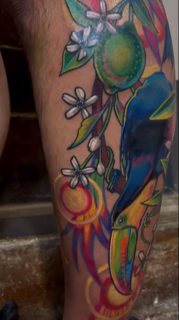 Toucan with fruit and sun neo-traditional tattoo by Sienna Coppa
