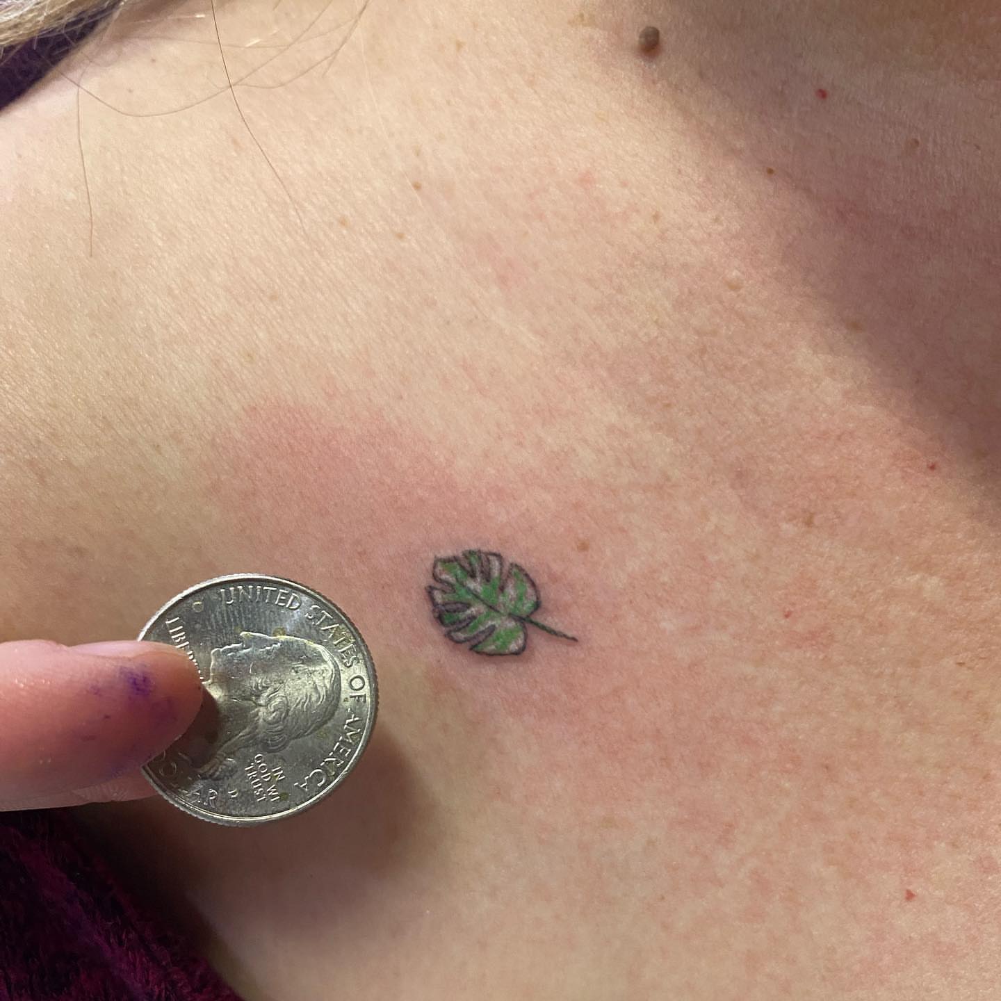 Monstera leaf dotwork tattoo on the chest by Maddy ⁂, Murfreesboro, Tennessee