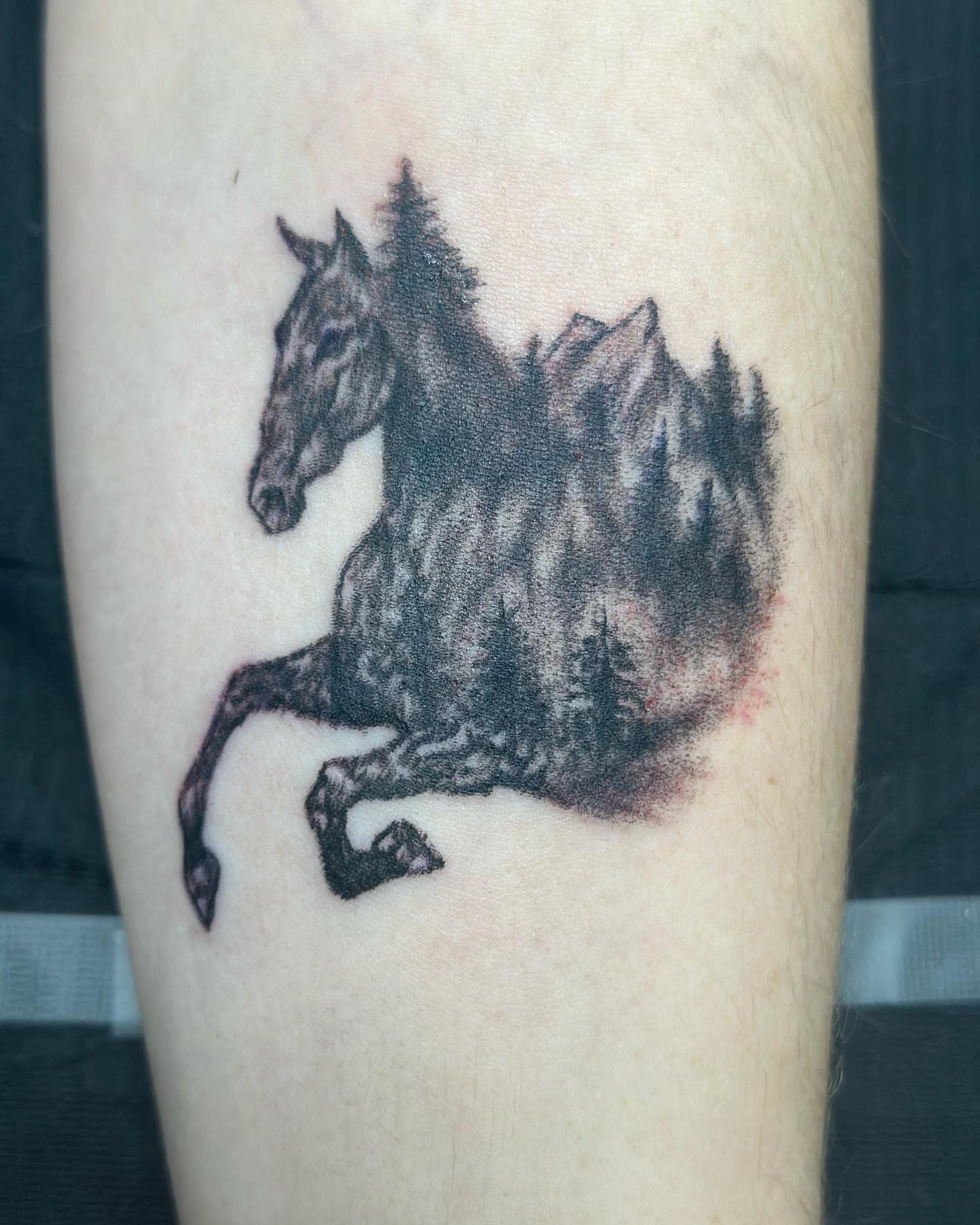 Horse black and grey tattoo on the forearm by KJ